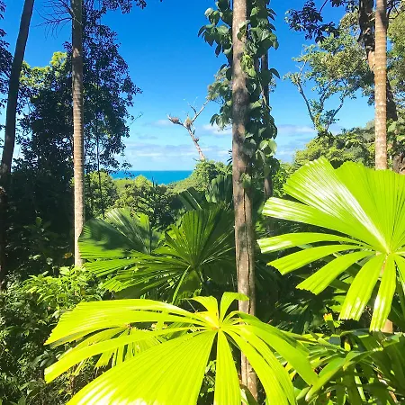 Daintree Magic Holiday House Cow Bay Exterior photo