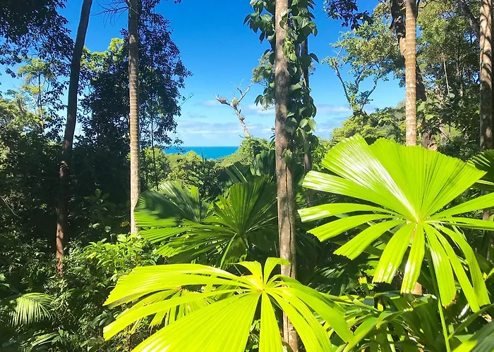 Daintree Magic Holiday House