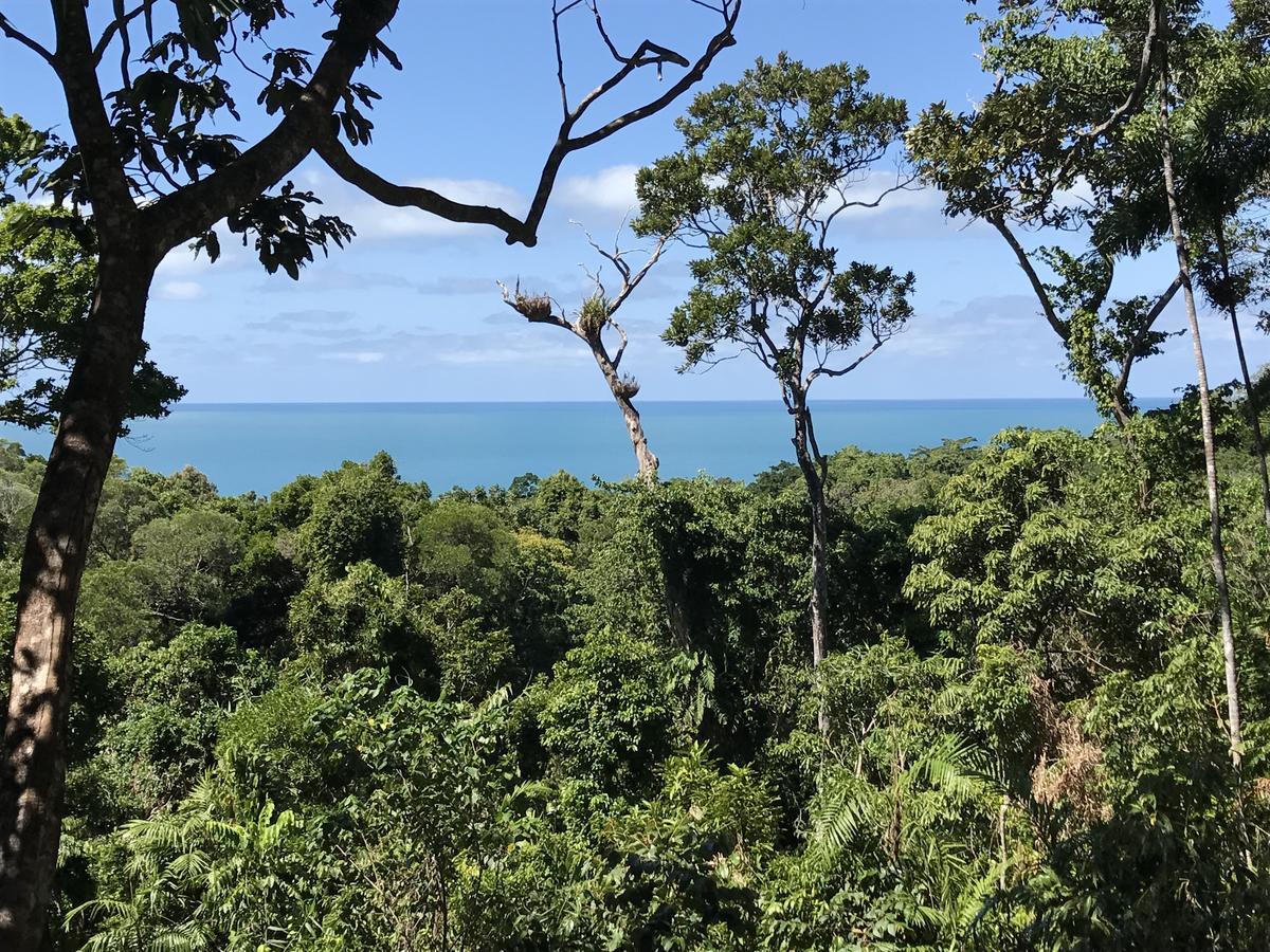 Daintree Magic House Holiday home