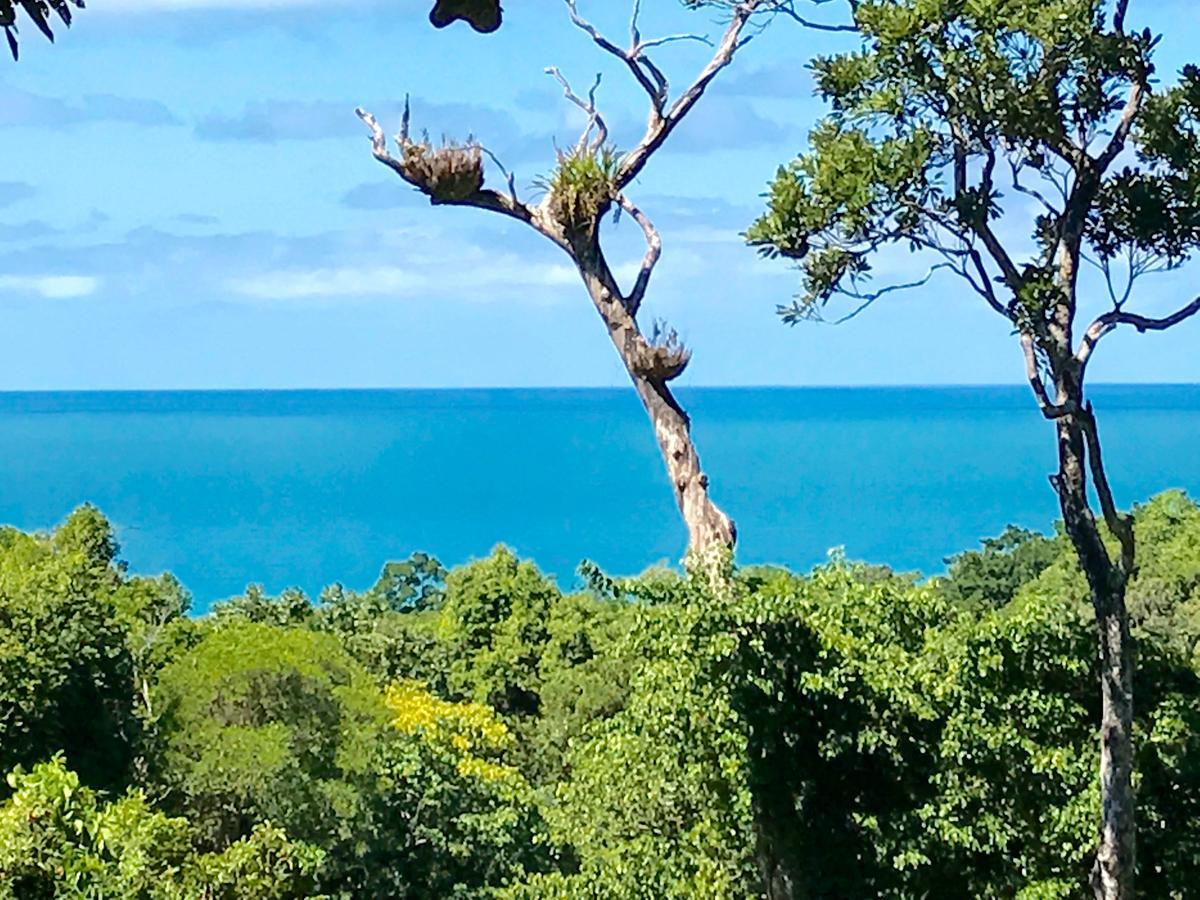 Daintree Magic House *